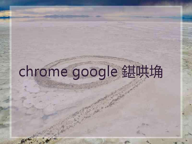chrome google 鍖哄埆
