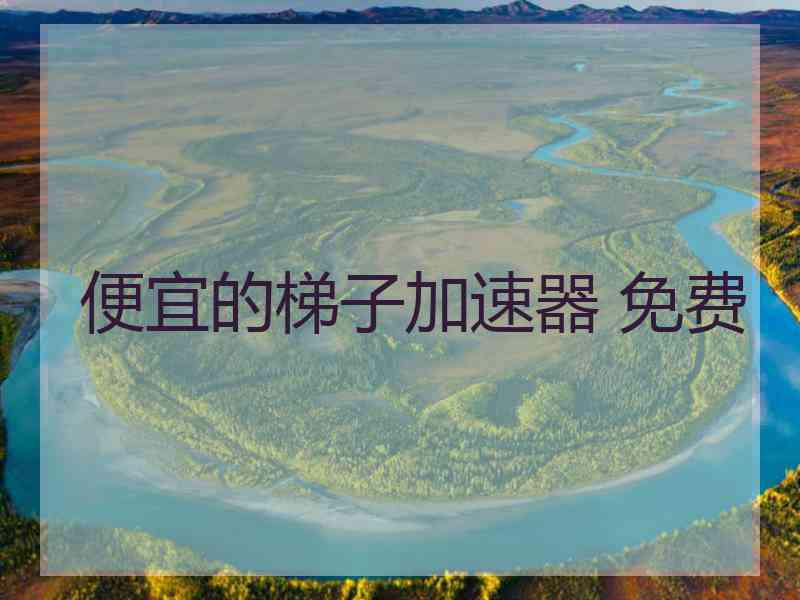 便宜的梯子加速器 免费