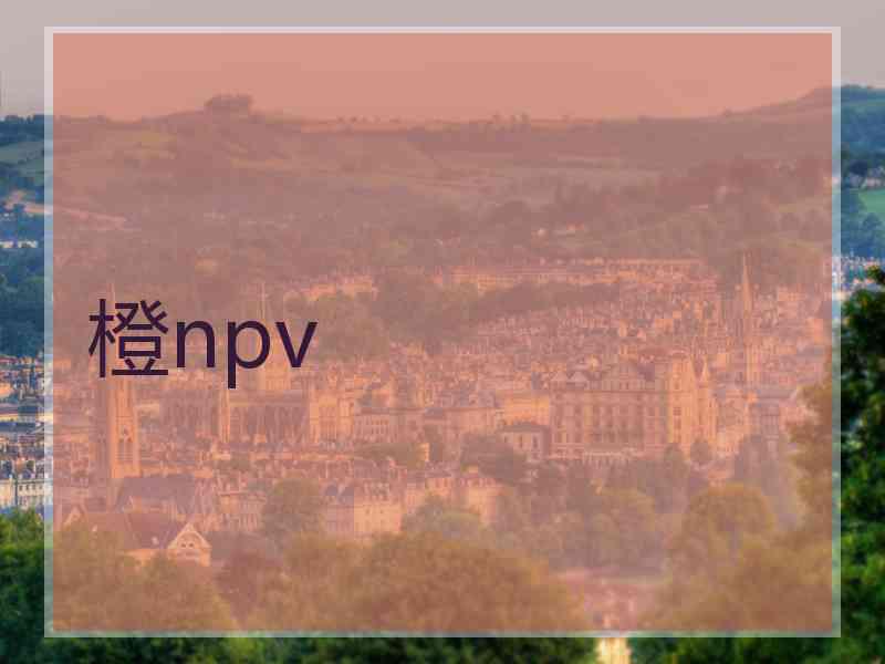 橙npv