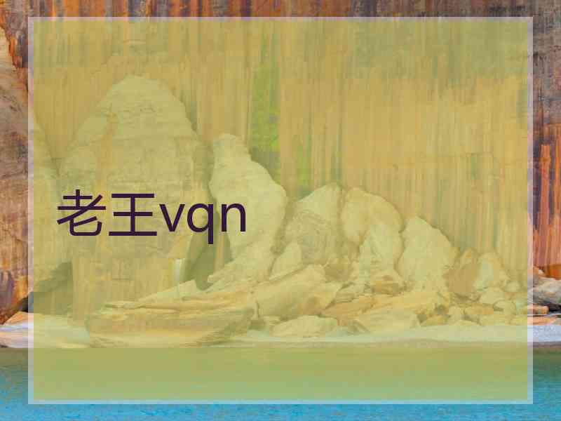 老王vqn