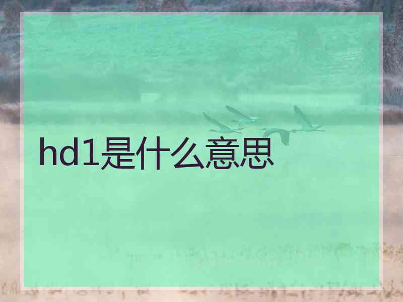 hd1是什么意思