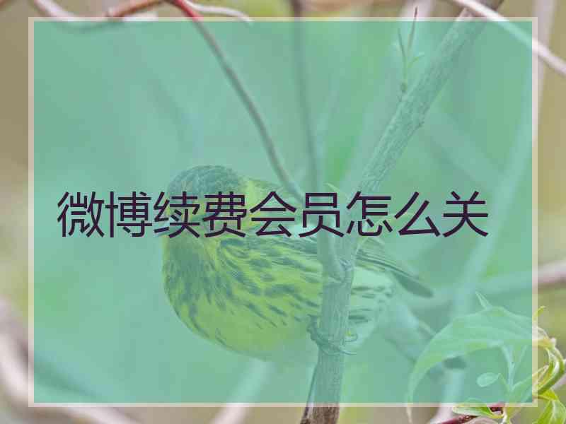 微博续费会员怎么关