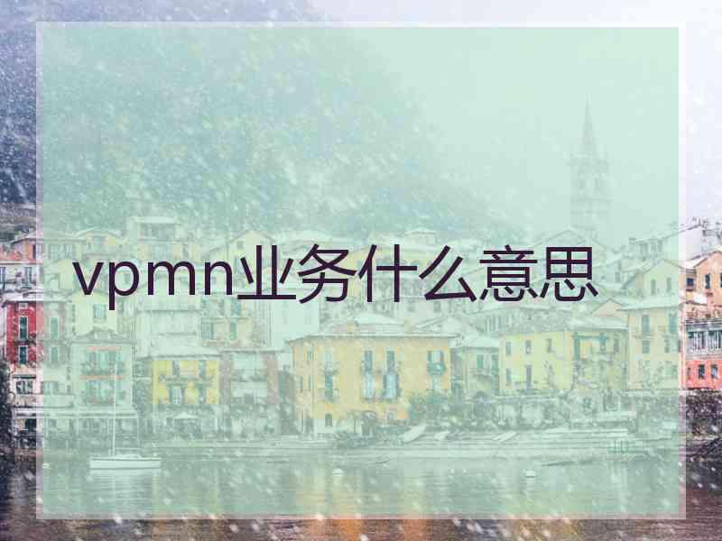 vpmn业务什么意思
