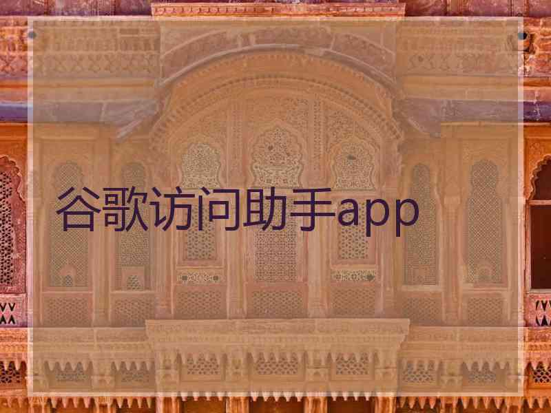 谷歌访问助手app