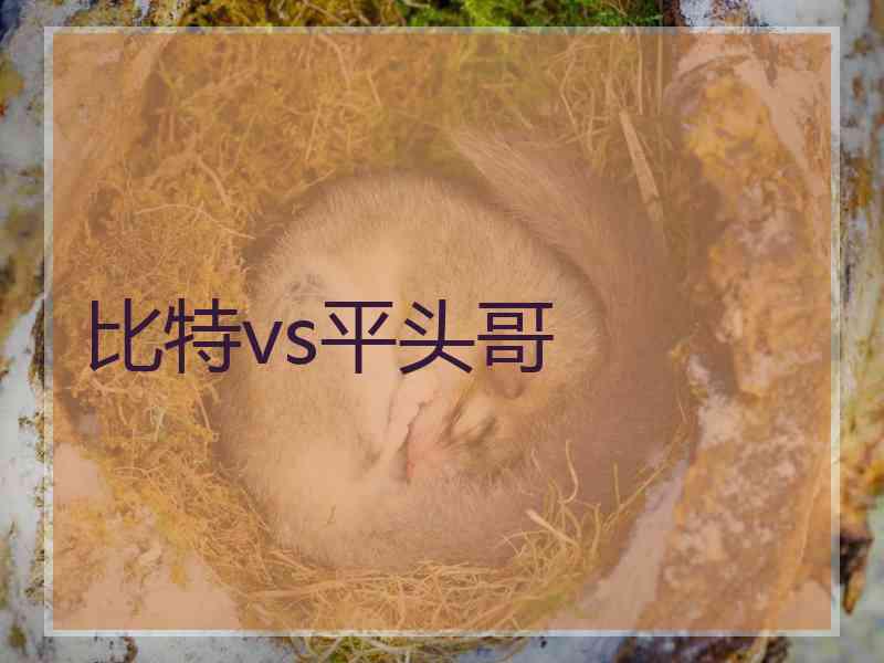比特vs平头哥