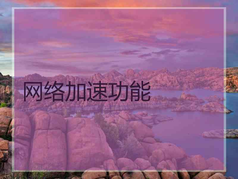 网络加速功能