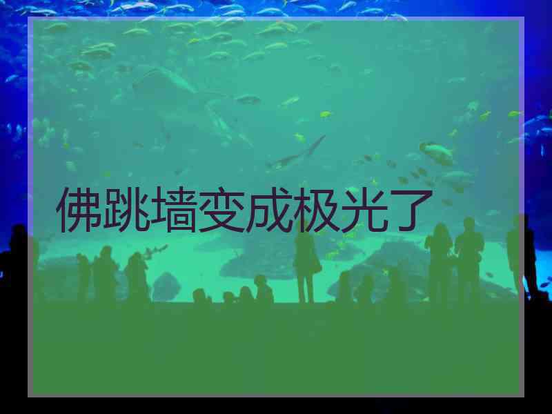 佛跳墙变成极光了