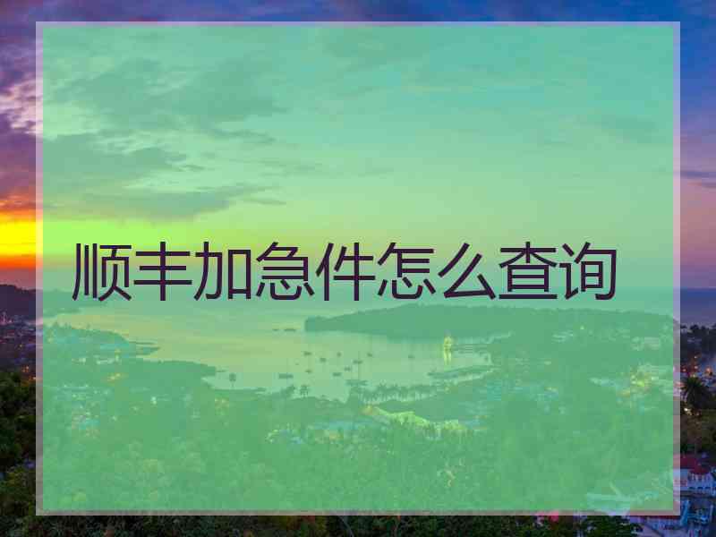 顺丰加急件怎么查询