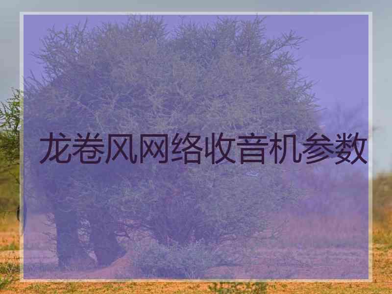 龙卷风网络收音机参数
