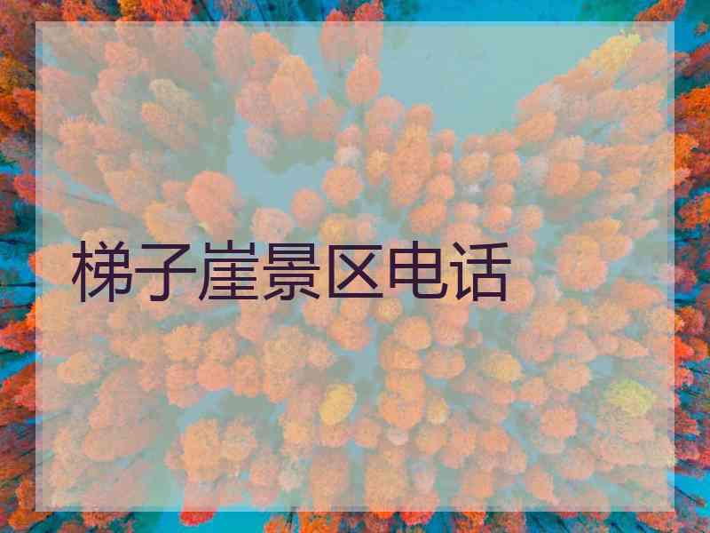 梯子崖景区电话