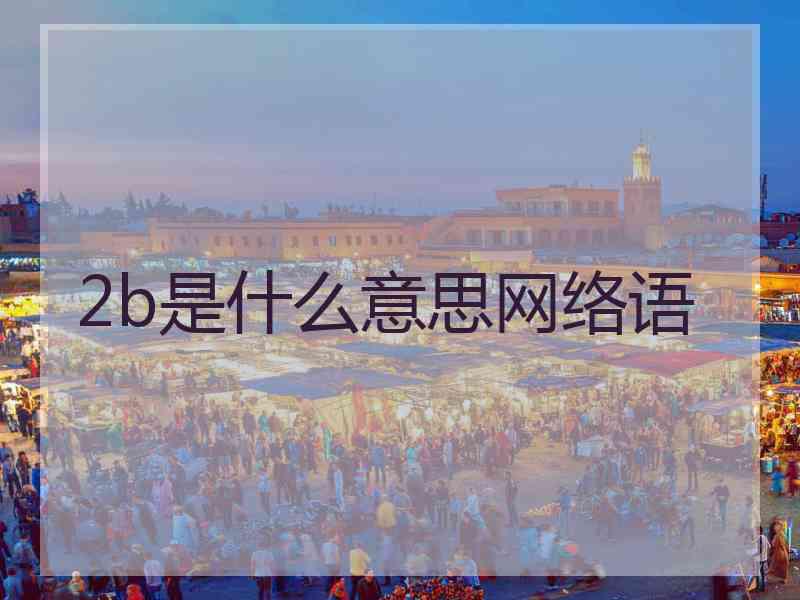2b是什么意思网络语