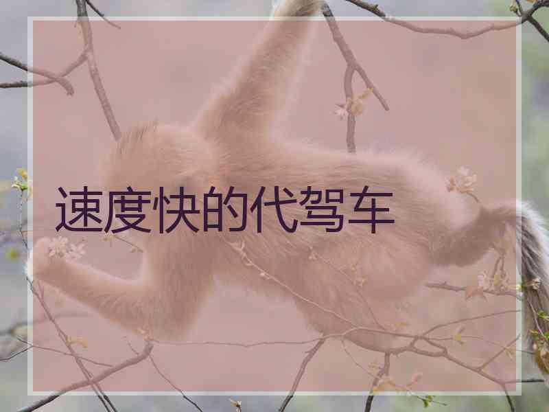 速度快的代驾车