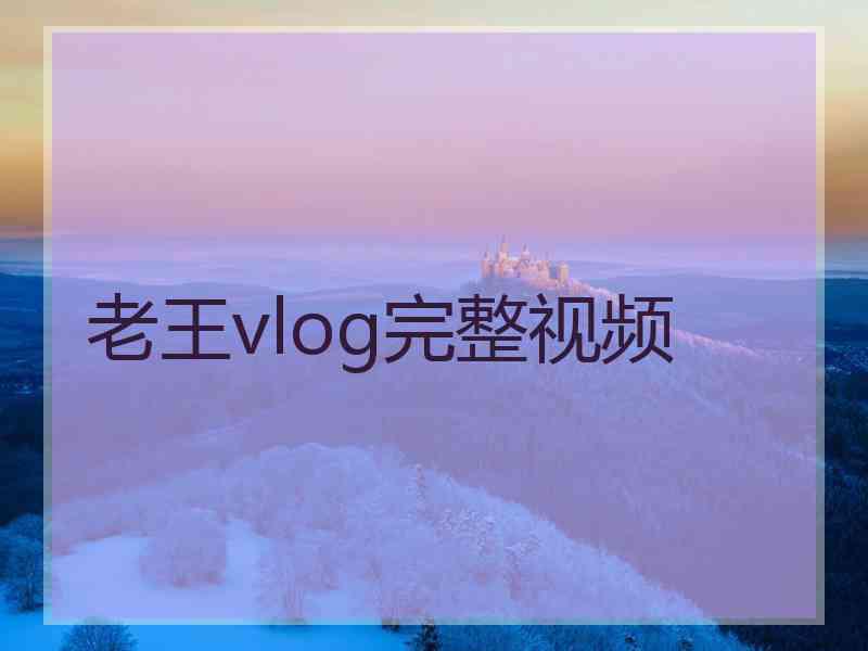 老王vlog完整视频
