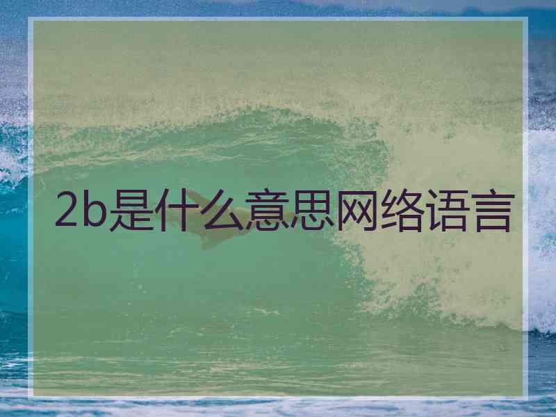 2b是什么意思网络语言
