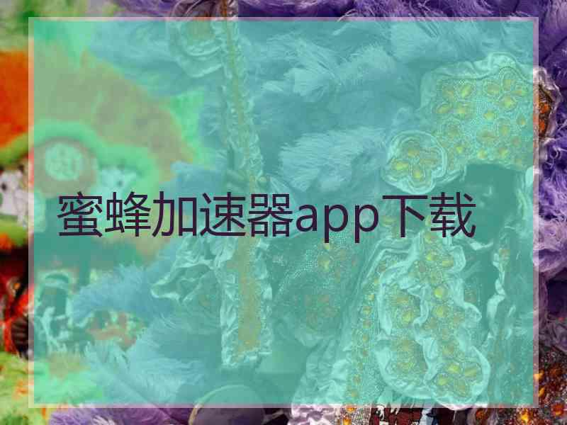 蜜蜂加速器app下载