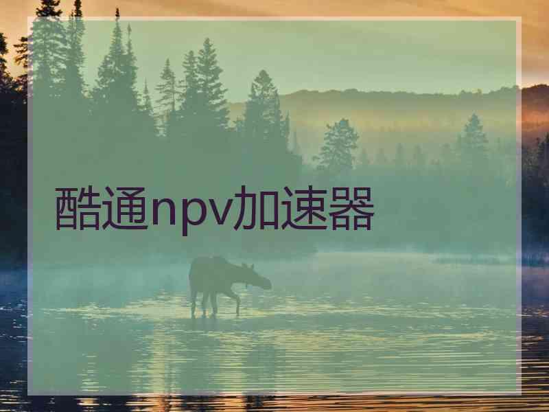 酷通npv加速器