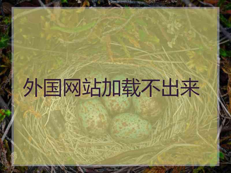 外国网站加载不出来