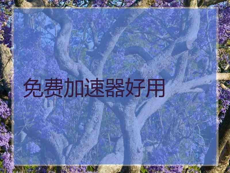免费加速器好用