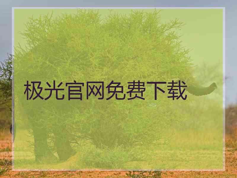 极光官网免费下载 极光官网免费下载
