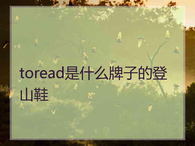toread是什么牌子的登山鞋 toread是什么牌子的登山鞋