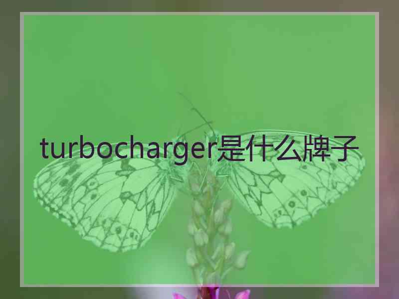 turbocharger是什么牌子