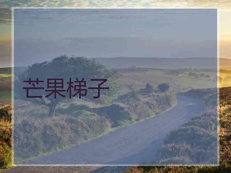 芒果梯子