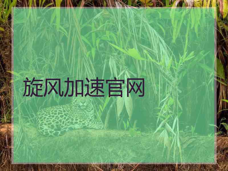 旋风加速官网