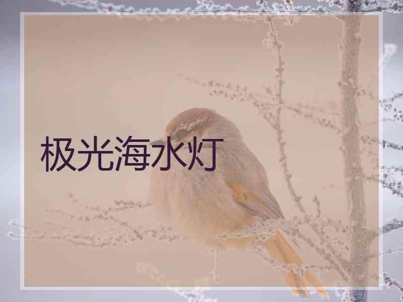 极光海水灯 极光海水灯