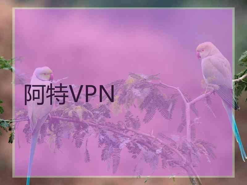 阿特VPN