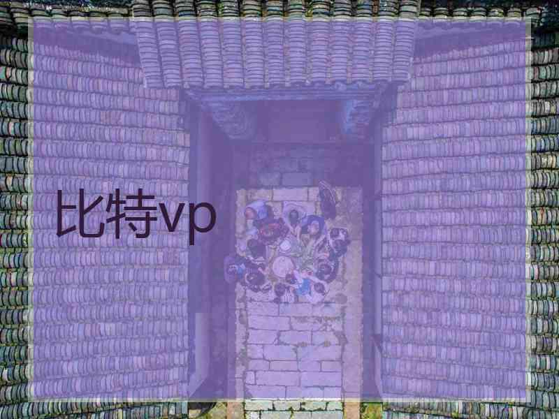 比特vp