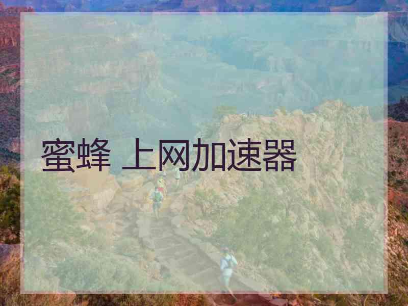 蜜蜂 上网加速器