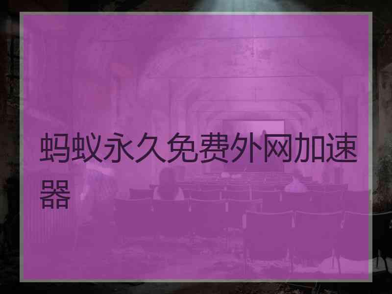蚂蚁永久免费外网加速器