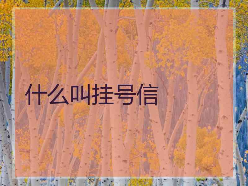 什么叫挂号信