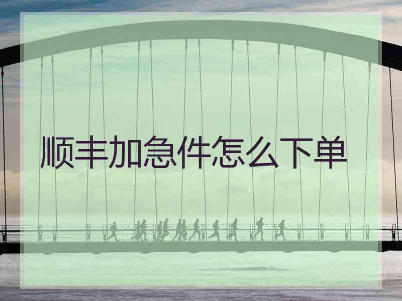 顺丰加急件怎么下单