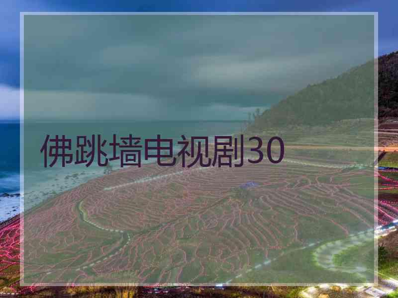 佛跳墙电视剧30