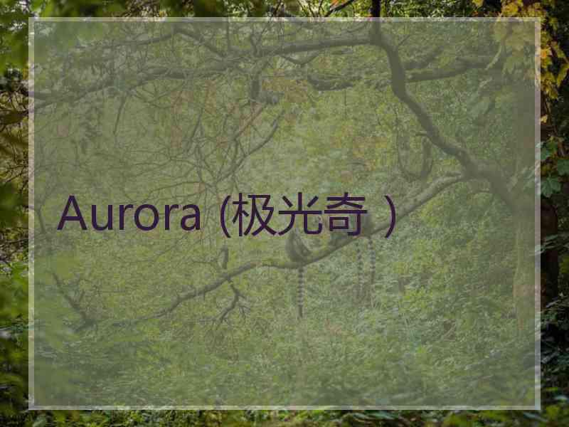 Aurora (极光奇）