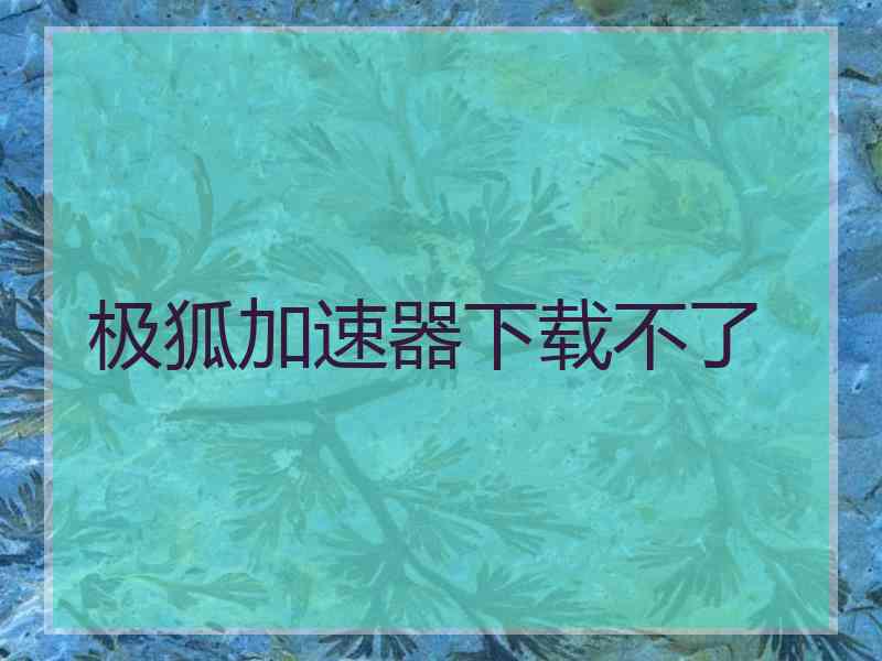极狐加速器下载不了