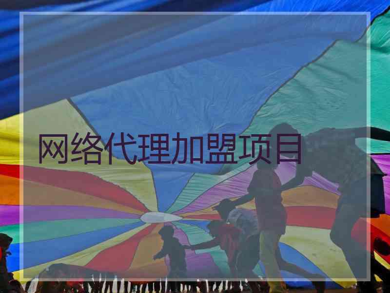 网络代理加盟项目