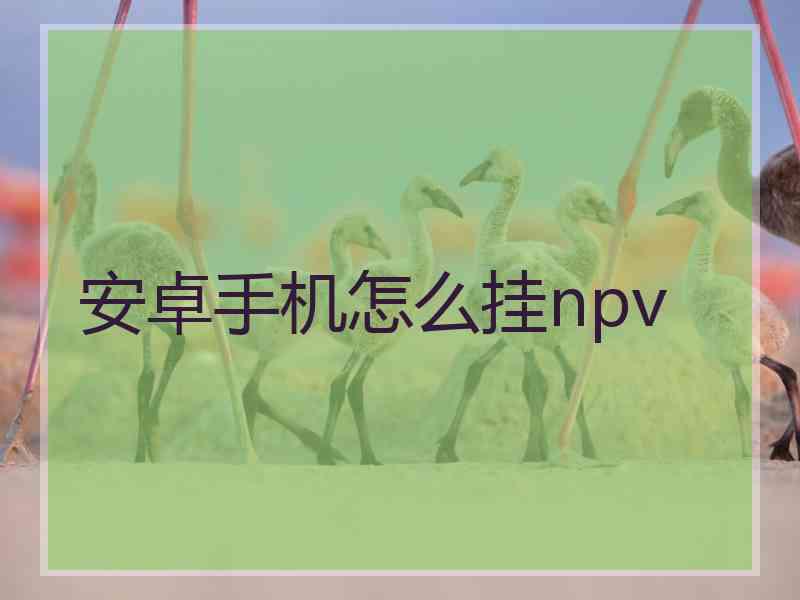 安卓手机怎么挂npv