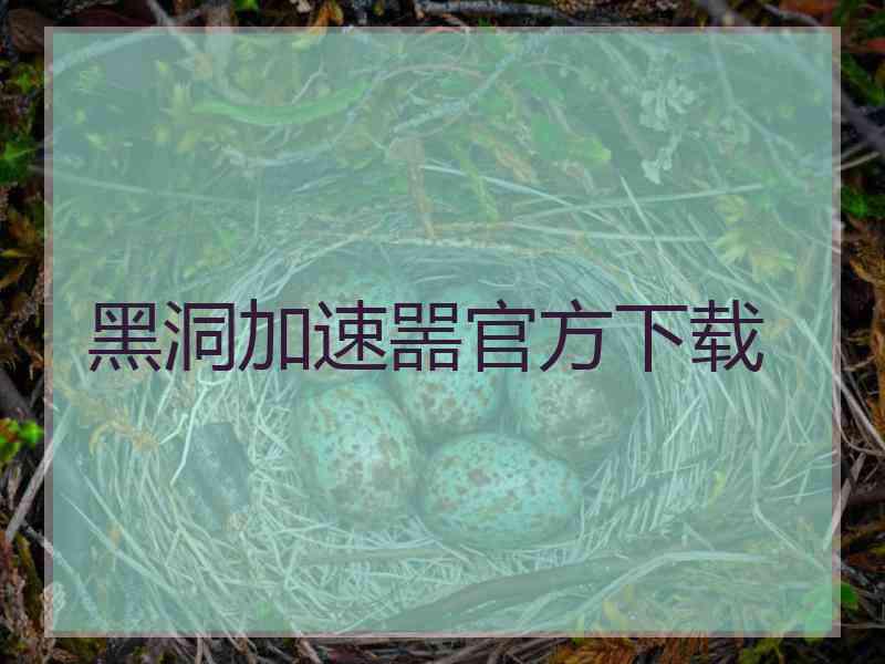 黑洞加速噐官方下载