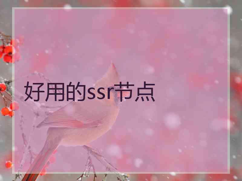 好用的ssr节点
