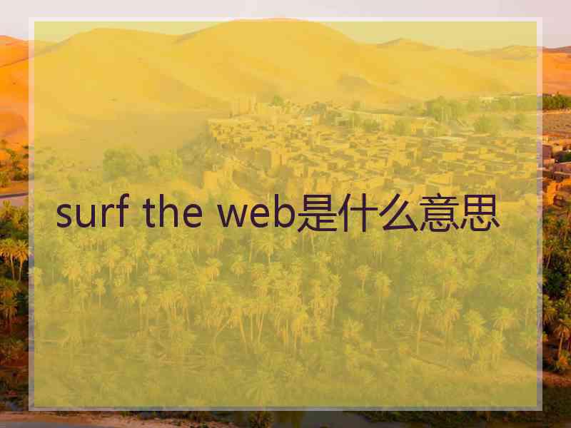 surf the web是什么意思