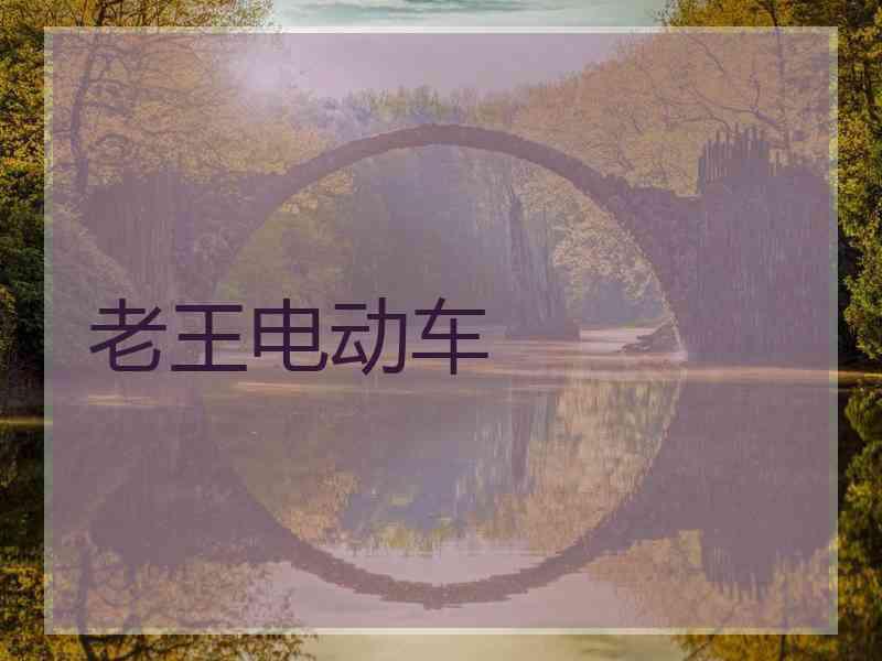 老王电动车