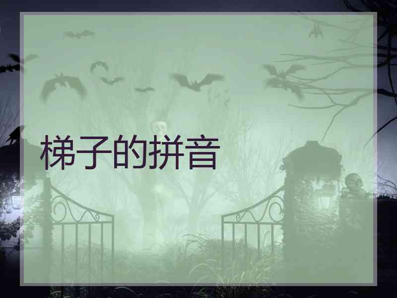梯子的拼音