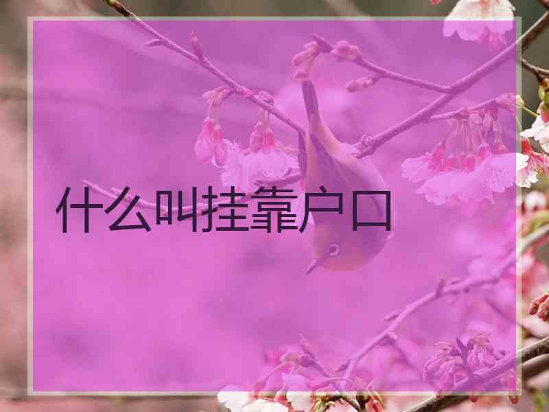 什么叫挂靠户口