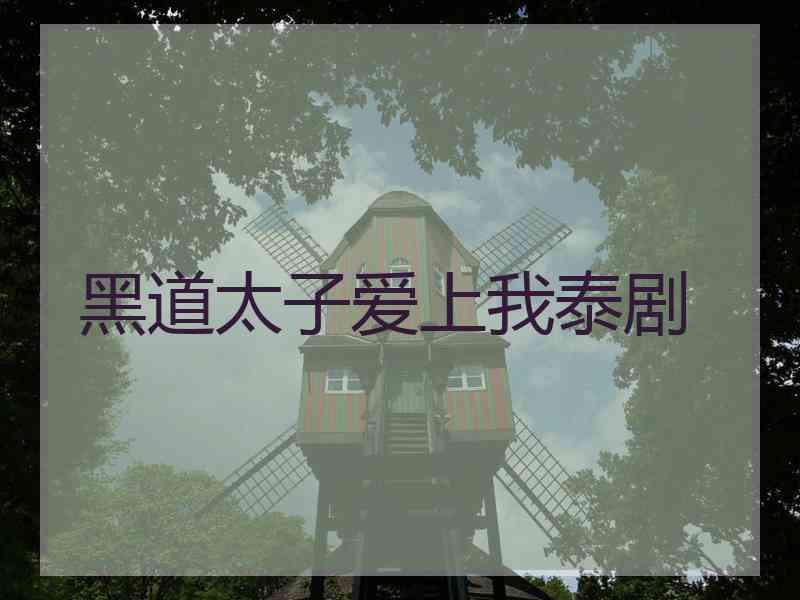 黑道太子爱上我泰剧