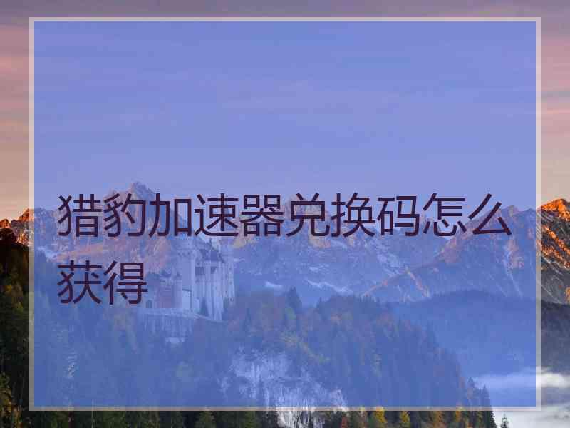 猎豹加速器兑换码怎么获得