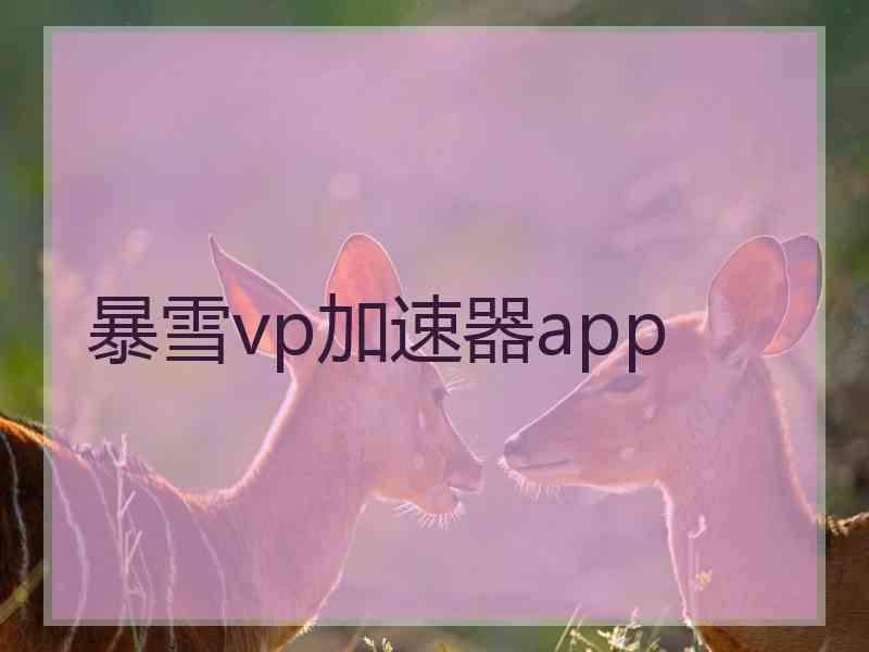 暴雪vp加速器app