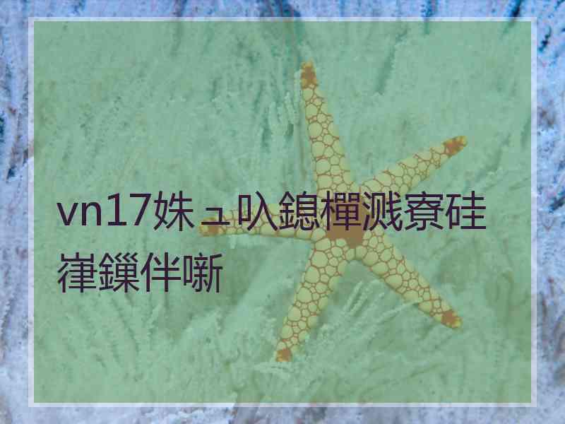 vn17姝ュ叺鎴樿溅寮硅嵂鏁伴噺