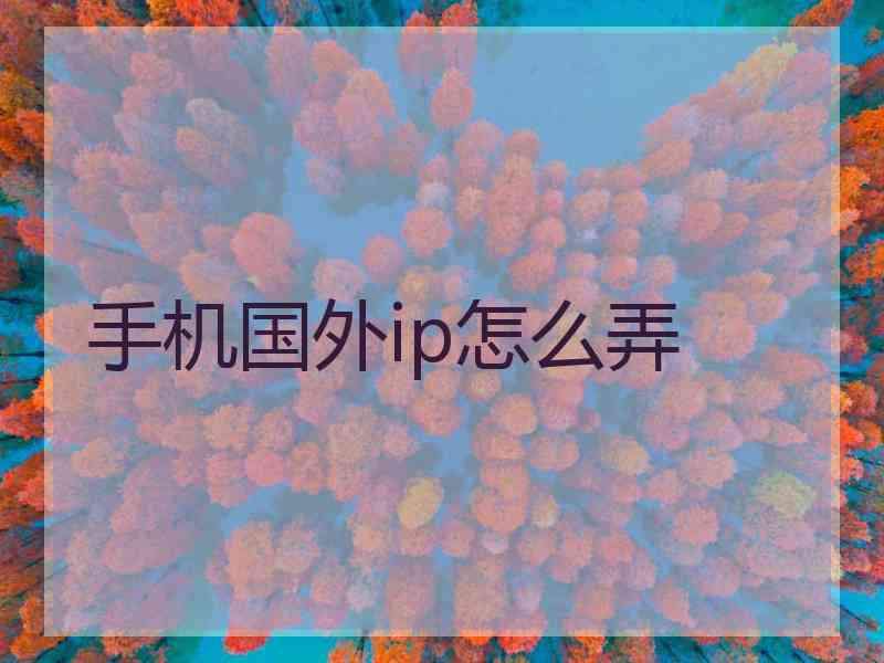 手机国外ip怎么弄